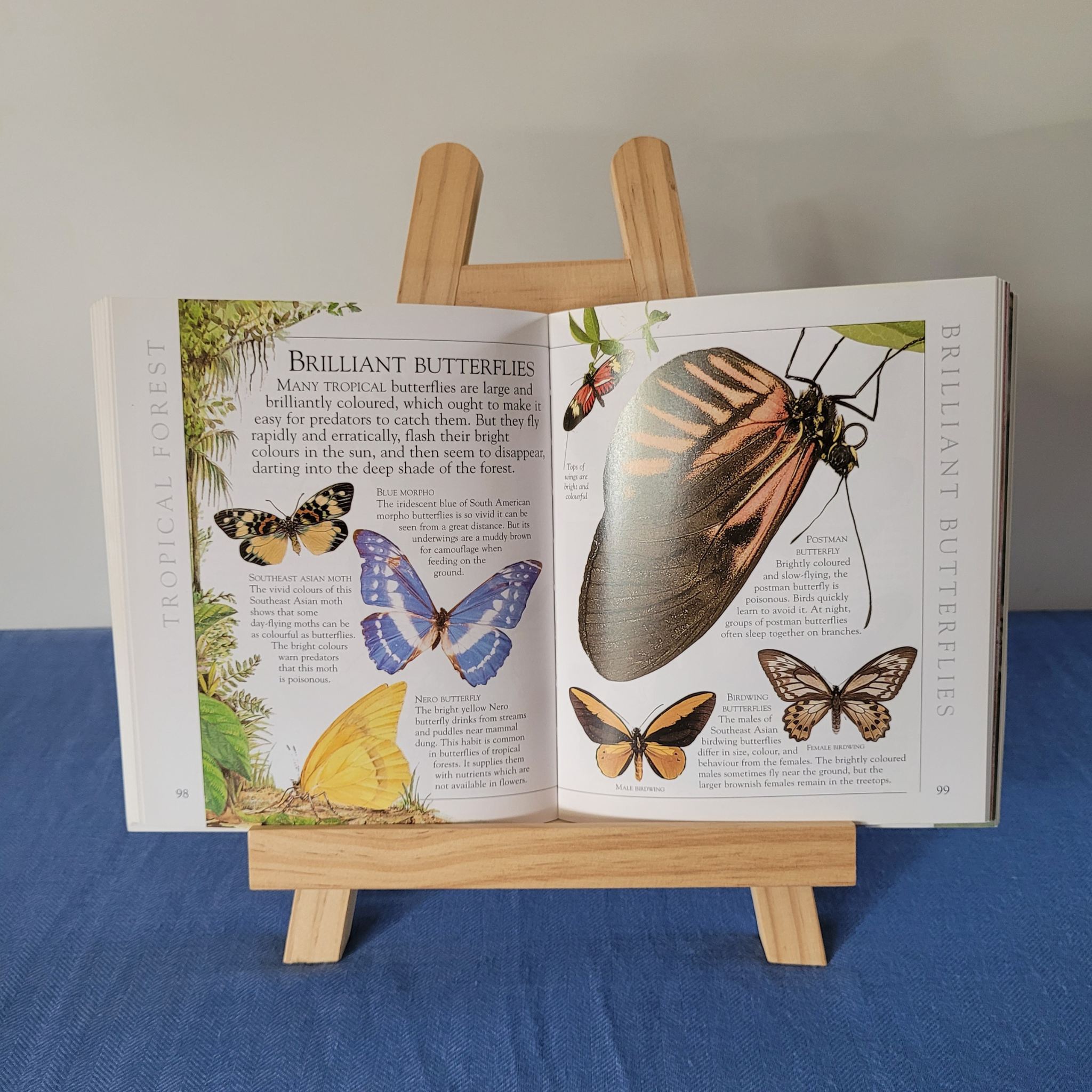 1001  facts about Insects