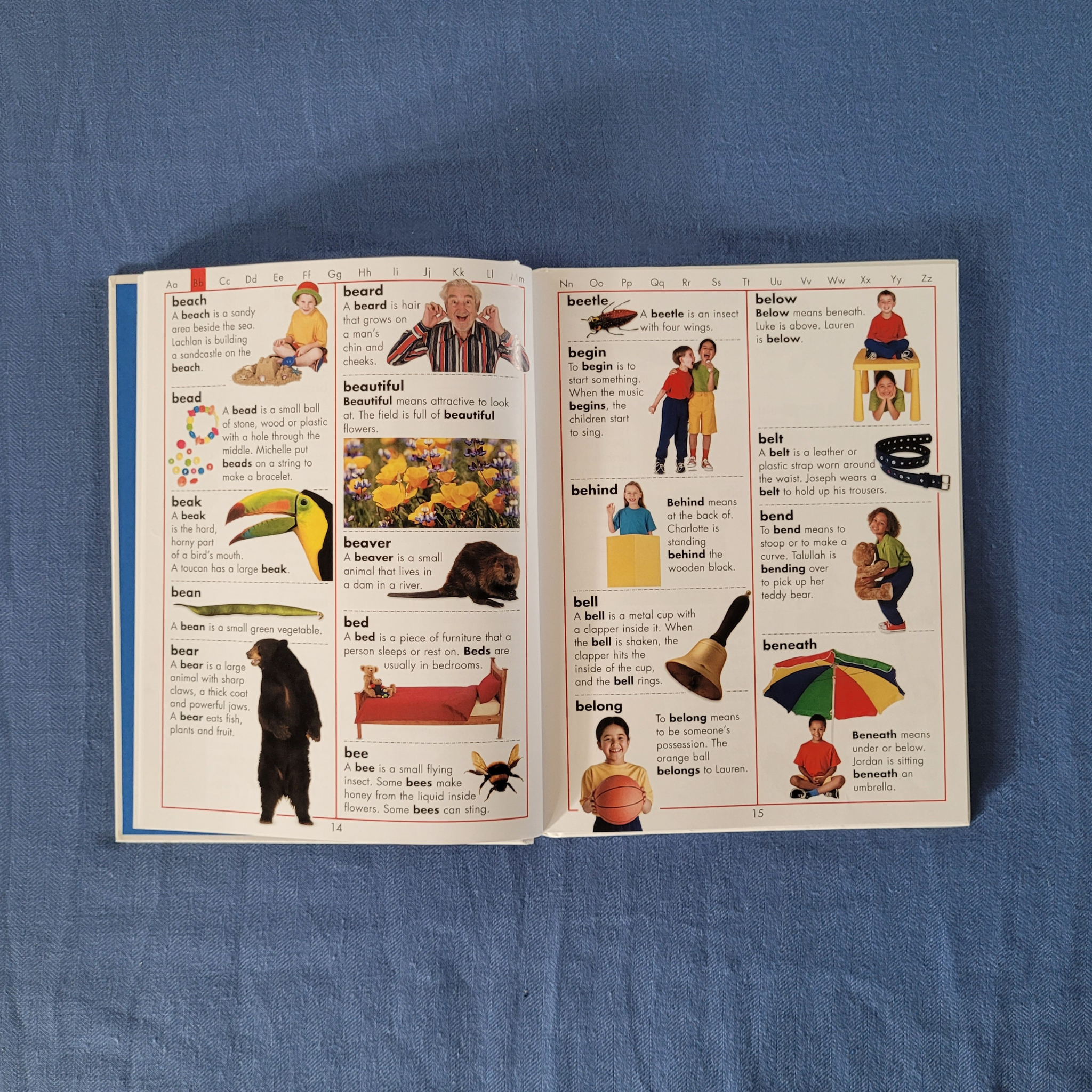 First Picture Dictionary