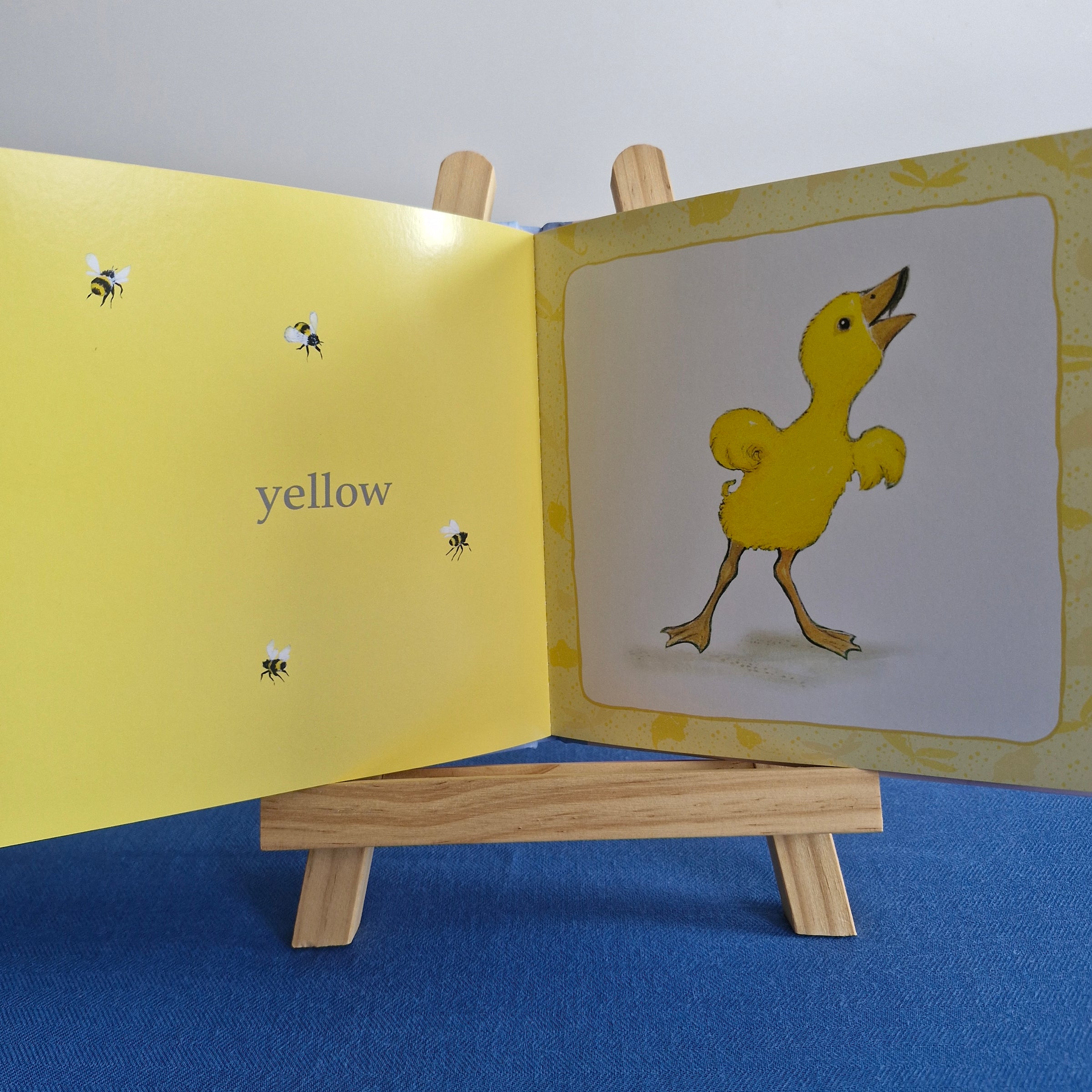 Hairy Maclary and Friends