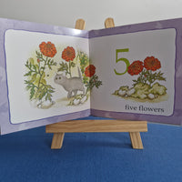 Hairy Maclary and Friends