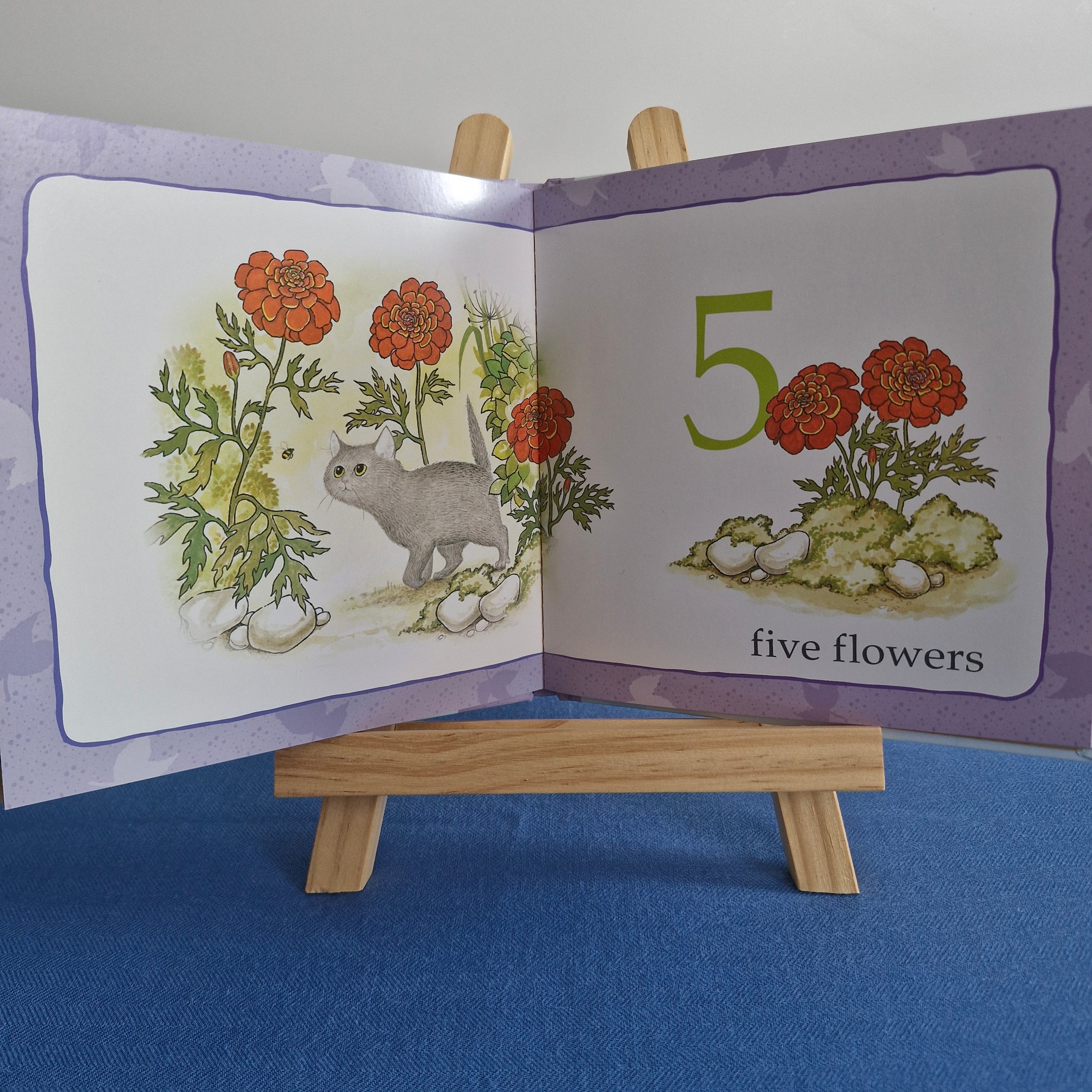 Hairy Maclary and Friends