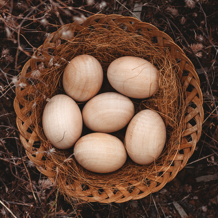 Wooden Eggs