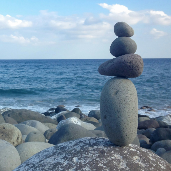 Mind, Body and Emotions