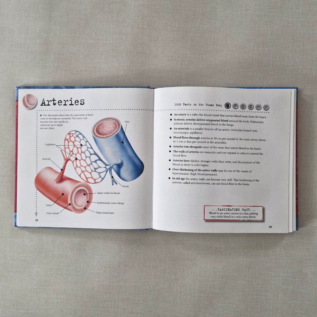 Human Fact File 1000 Facts on Human Body – Earth Mama NZ
