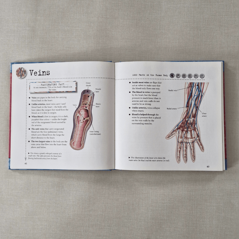 1000 Facts on Human Body – Earth Mama NZ