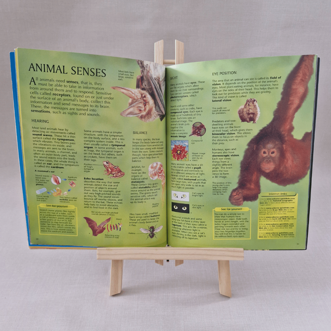 Open book on animal senses with illustrations and text, displayed on a small wooden easel.
