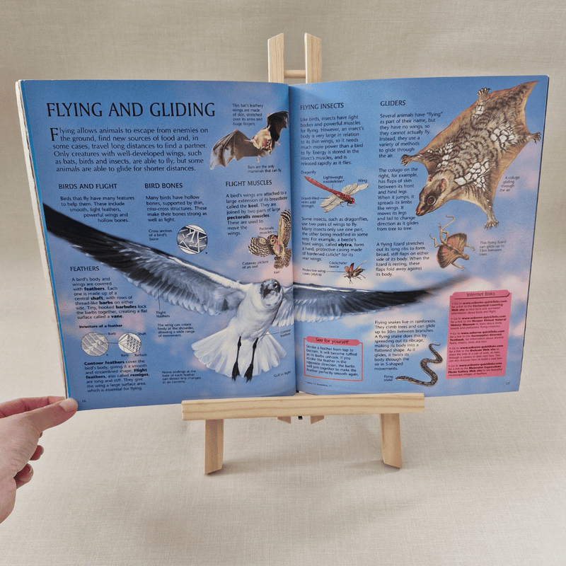Open book on a stand with educational content about flying and gliding animals.