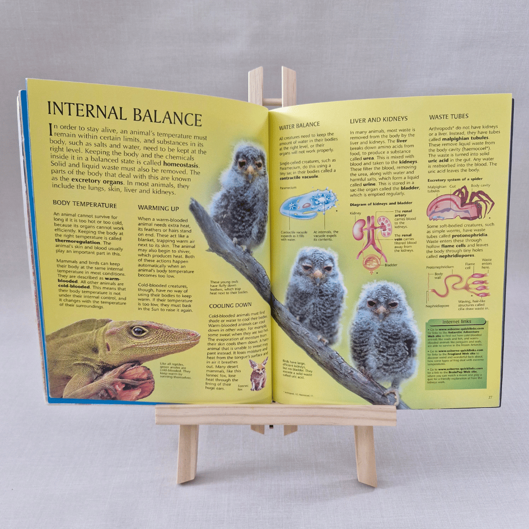 Open book on a stand with educational content about animals and biology.