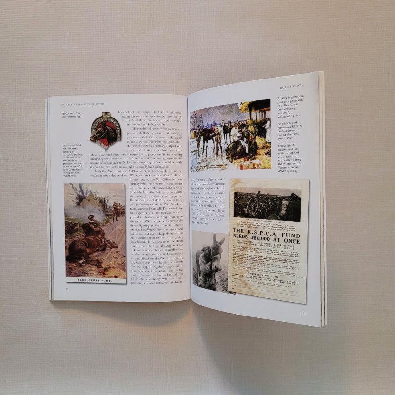 Open book with historical images and text on a beige background