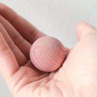 Hand holding a wooden cedar moth ball against a light grey background
