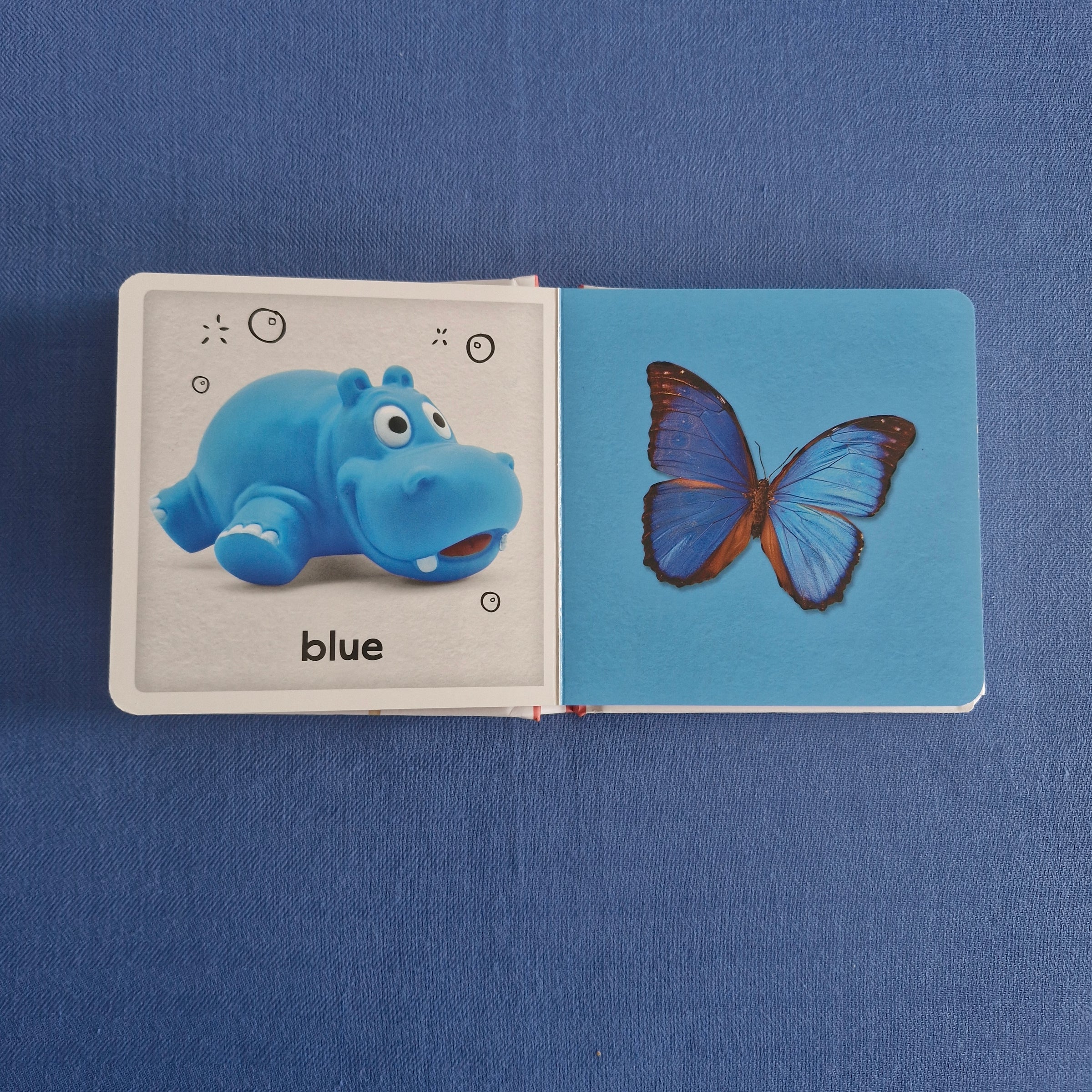 Baby's First Books