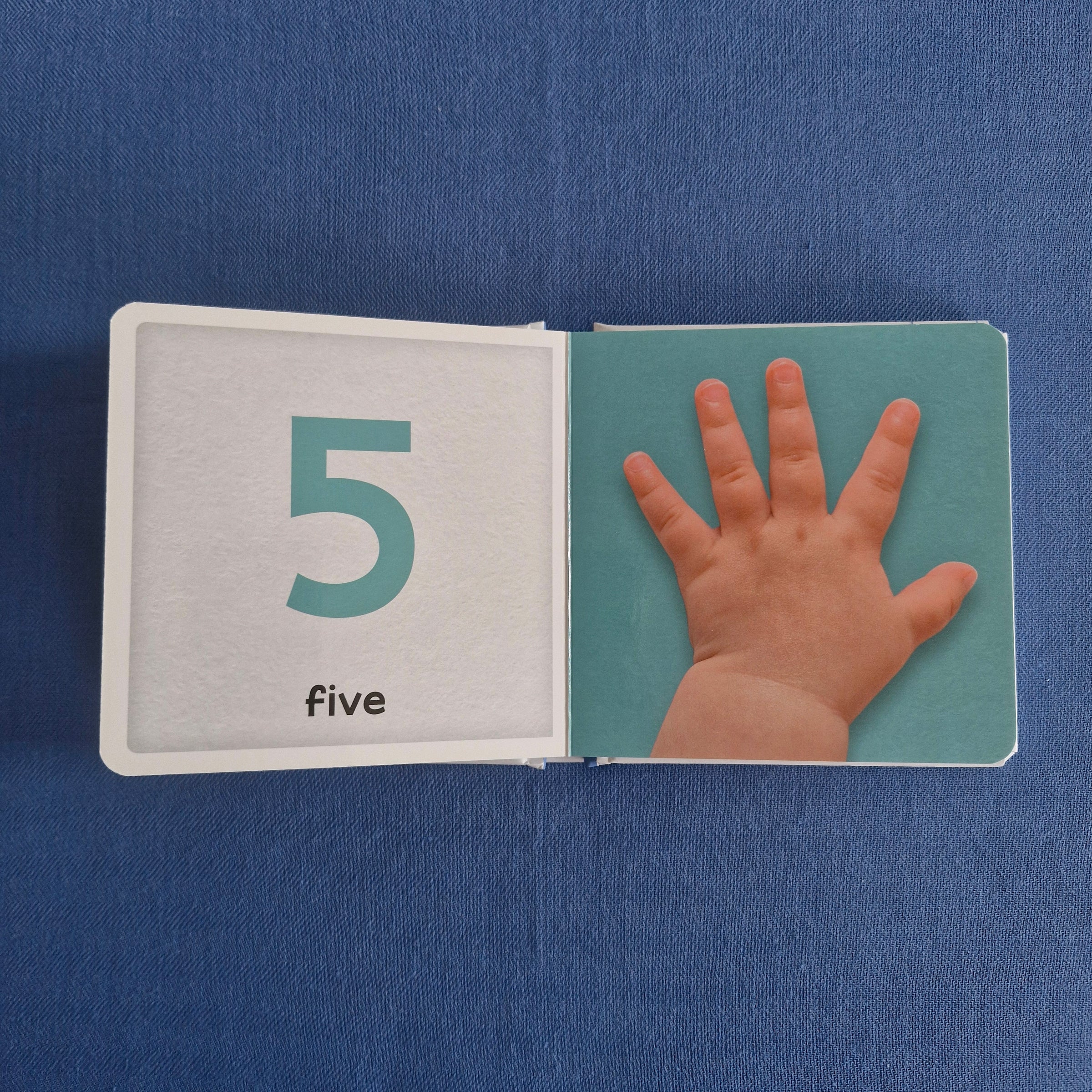 Baby's First Books