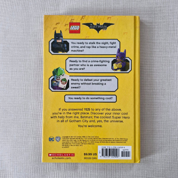 Back of a LEGO Batman toy box with text and graphics on a gray background