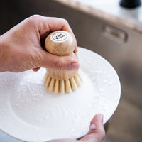 Person using a wooden dish brush on a white plate with a kitchen sink in the background