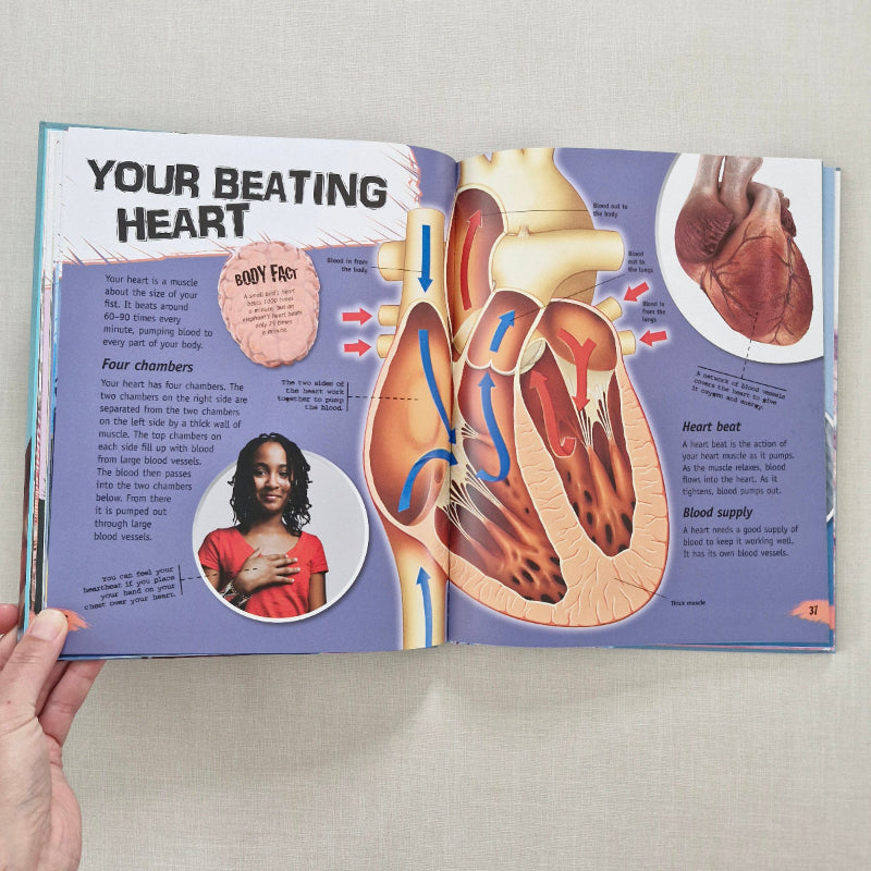Book open to a page about the human heart with illustrations and text.