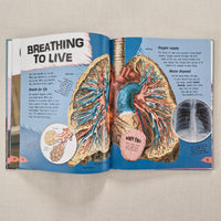 Open book with detailed illustrations of a respiratory system on a beige background