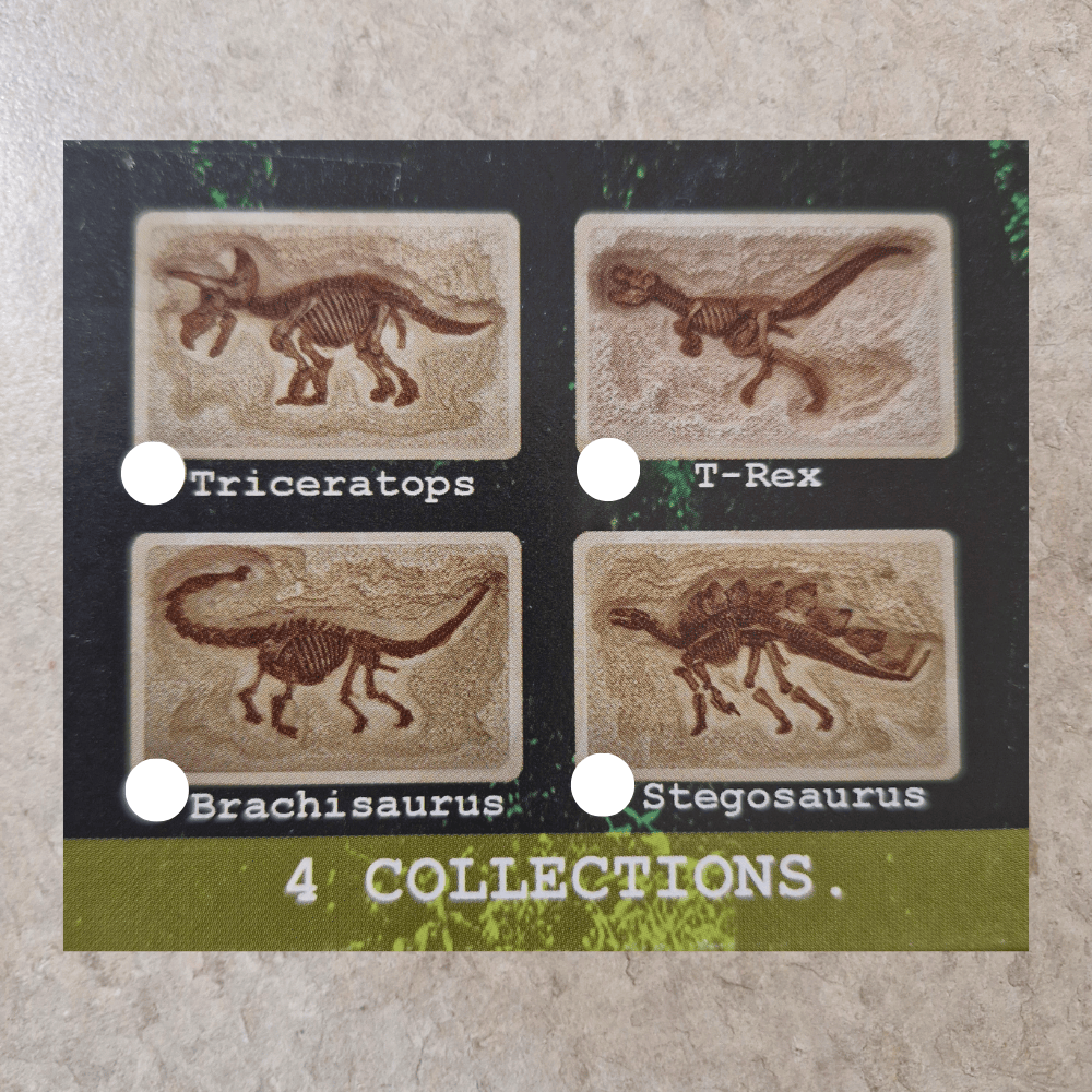 Four dinosaur fossil collectibles with labels on a textured surface