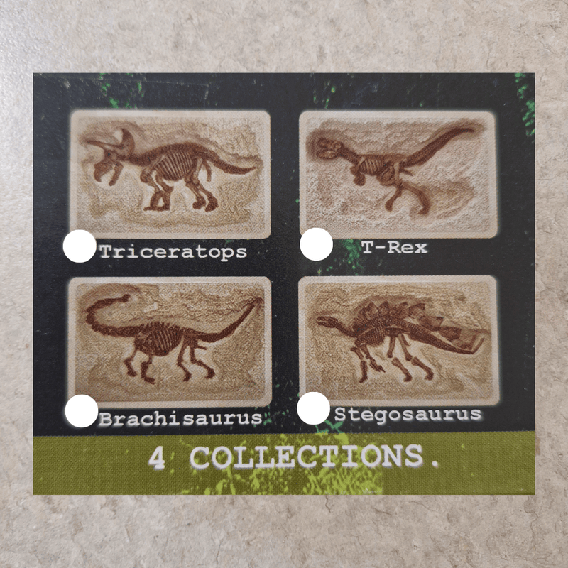 Four dinosaur fossil collectibles with labels on a textured surface