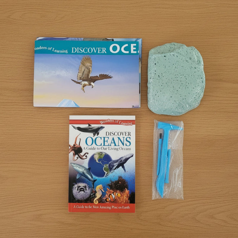 Book titled 'Discover Oceans' on a wooden surface with a piece of green foam and blue excavation tools.