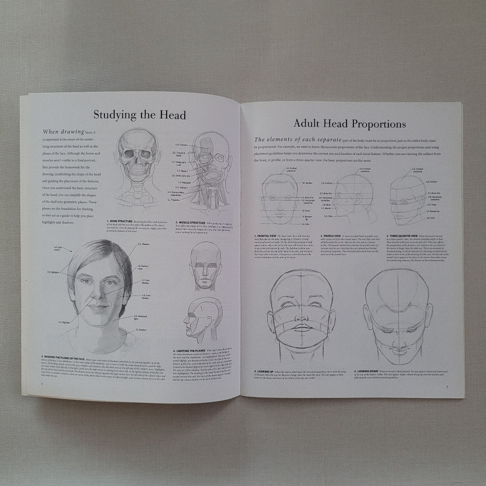 Open book with illustrations of adult head proportions on a plain background