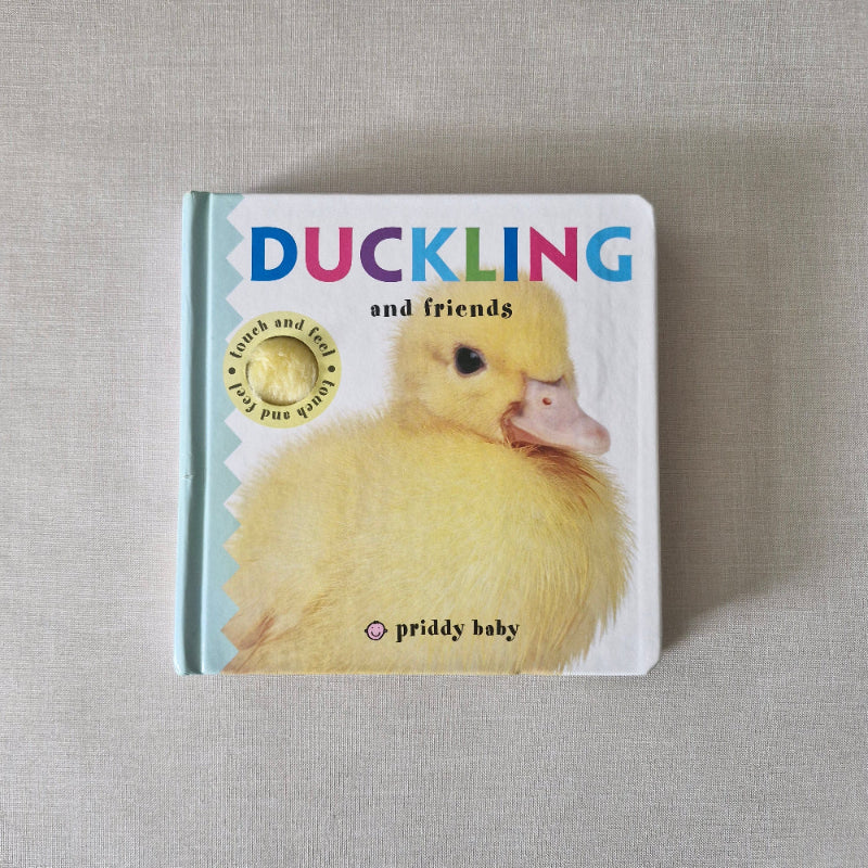 Children's book titled 'Duckling and Friends' with a duck illustration on a textured surface.