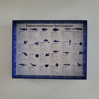 Educational poster about sea creatures on the inside of a puzzle box.