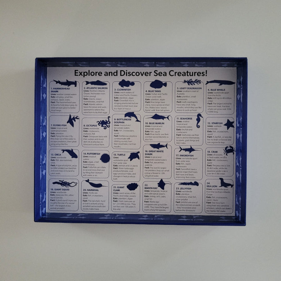 Educational poster about sea creatures on the inside of a puzzle box.