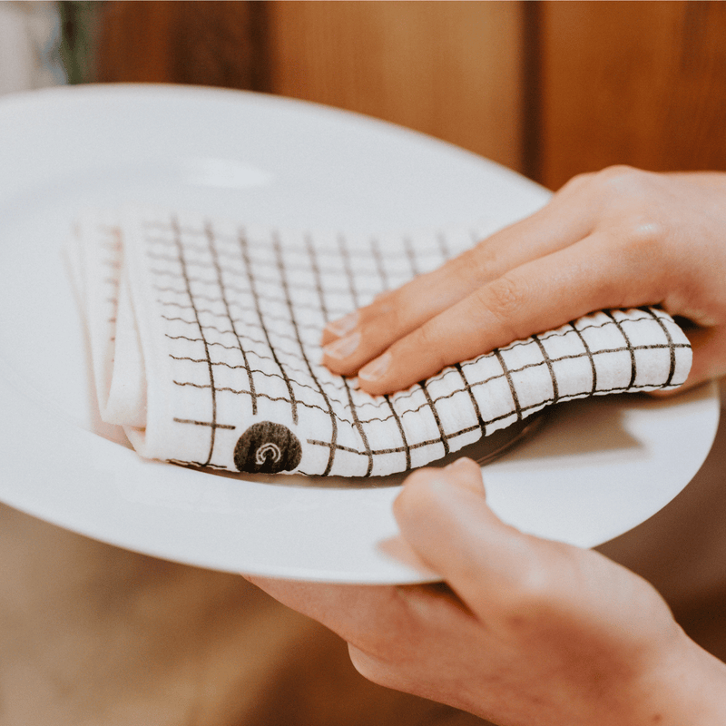 Person holding a white plate and drying it with a good change eco cloth