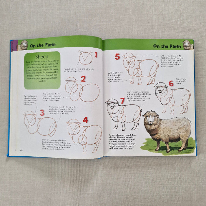 Open book showing illustrations and text on drawing sheep, placed on a textured surface.