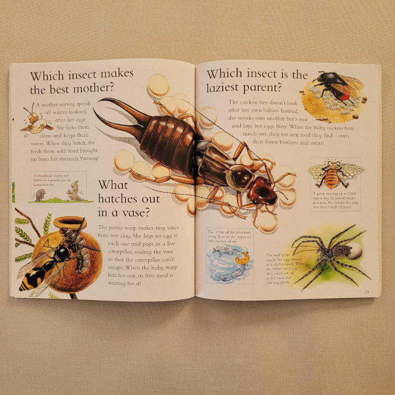 An open children's science book spread showing illustrated insects and spider on cream-colored pages with printed text and educational questions.