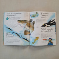 An open children's educational book spread on a light neutral background, featuring watercolor illustrations of fish, birds, and marine life with printed text questions.