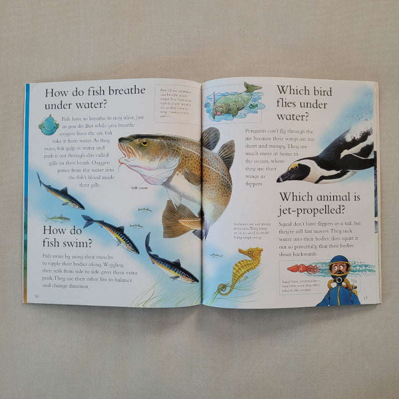An open children's educational book spread on a light neutral background, featuring watercolor illustrations of fish, birds, and marine life with printed text questions.