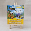 Book titled 'Insects and Minibeasts' on a wooden stand with a colourful cover featuring insects and nature.