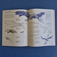 Open book with illustrations of fantasy birds on a blue background