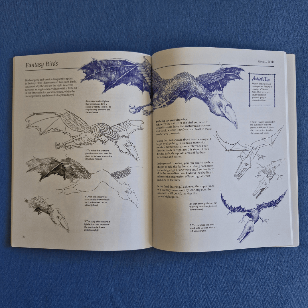 Open book with illustrations of fantasy birds on a blue background