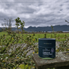 Goodbye natural sunscreen jar on a wooden surface with a scenic background
