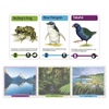 Educational card with images of Archey's Frog, Blue Penguin, and Takähe, along with corresponding illustrations of landscapes.