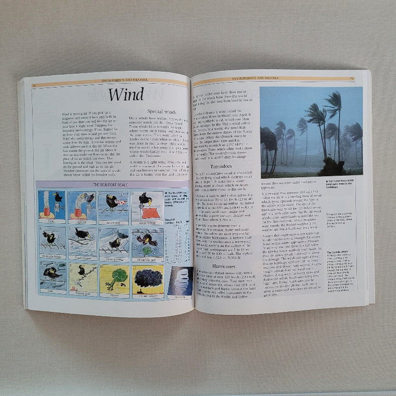 Open book with illustrations and text about wind on a plain background