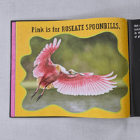 Pink is For Blobfish