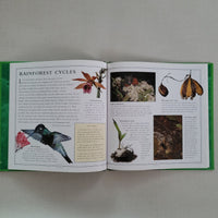 Open book with illustrations of a butterfly, flowers, and a hummingbird on a gray background
