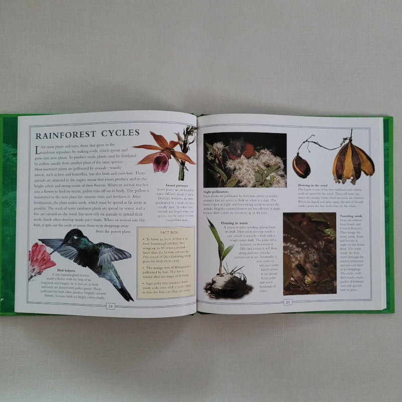 Open book with illustrations of a butterfly, flowers, and a hummingbird on a gray background