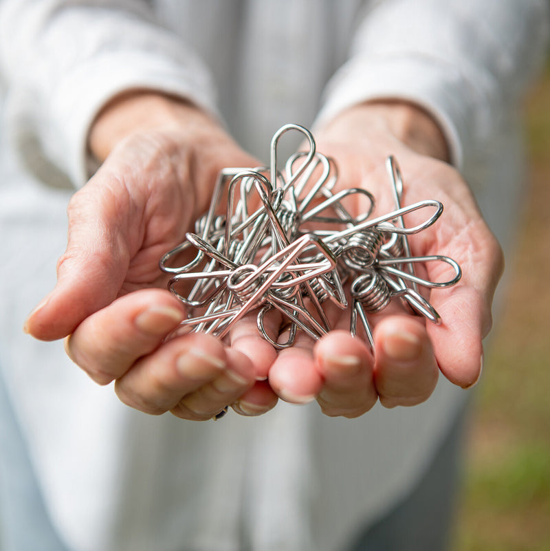 Stainless Clothing Pegs
