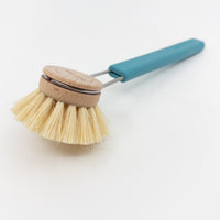 Wooden tampico dish brush head with blue silicone handle on white back ground