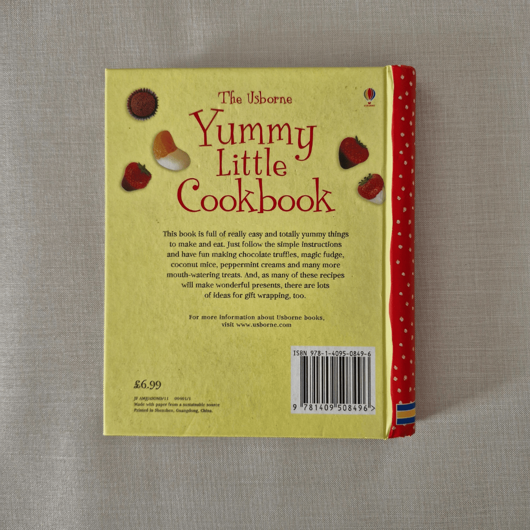 Back cover of 'Yummy Little Cookbook' by Usborne on a textured surface