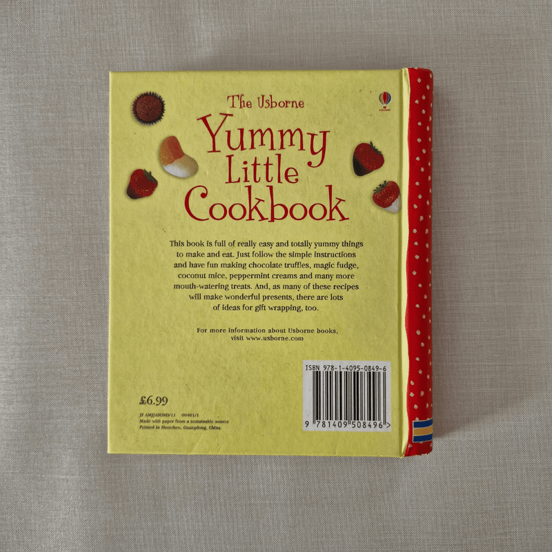 Back cover of 'Yummy Little Cookbook' by Usborne on a textured surface