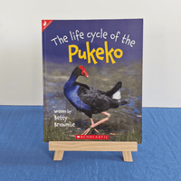Book titled 'The Life Cycle of the Pukeko' by Scholastic on a blue surface.