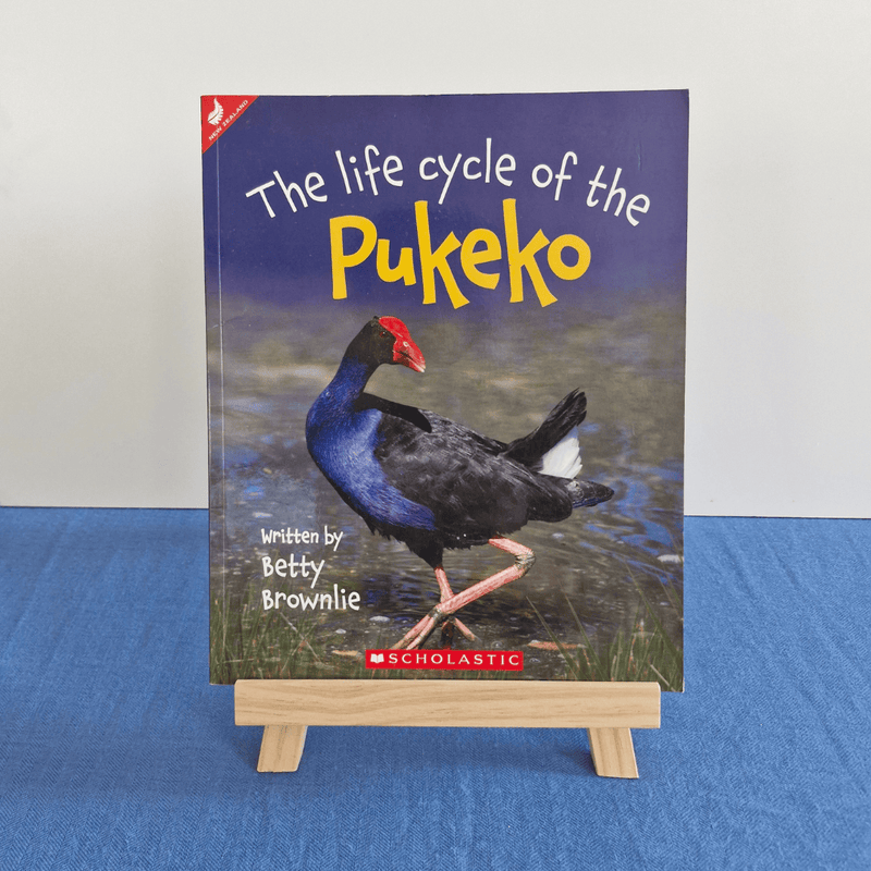 Book titled 'The Life Cycle of the Pukeko' by Scholastic on a blue surface.