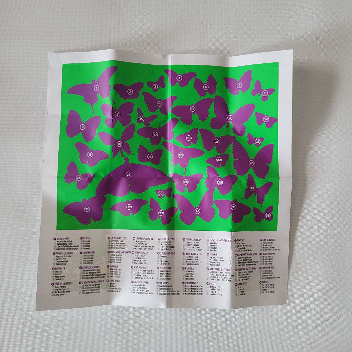 Sheet describing the different butterflies in the puzzle on a green background with text on a white surface