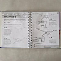 Ultimate Things to Draw