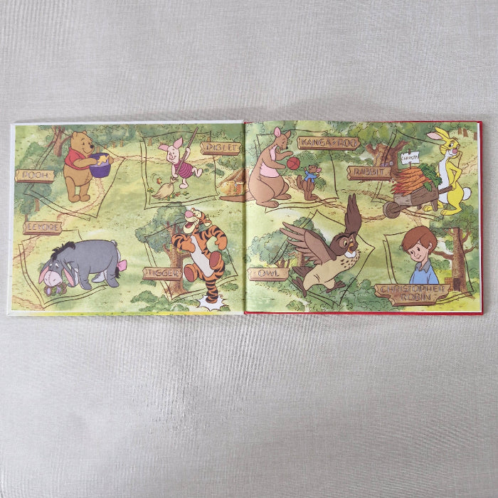 Inside cover of Winnie the Pooh children's books, introducing all the characters on a gray surface